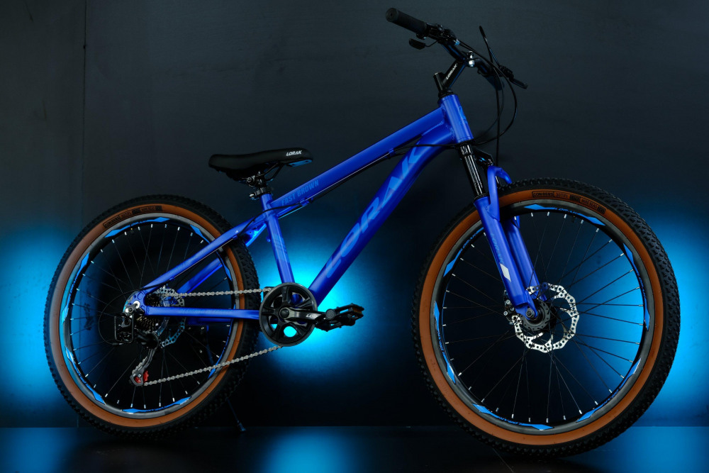 LORAK Fast Brown 24 Матовый Синий