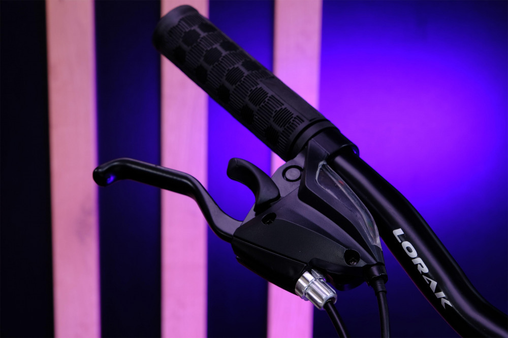 LORAK Fast Brown 20 Розовый