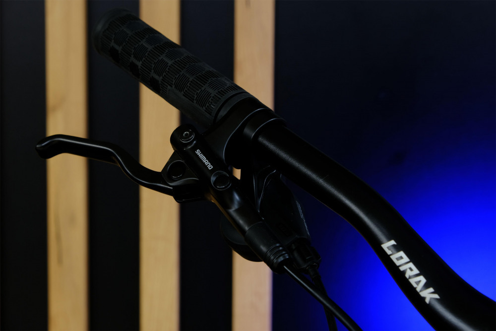 LORAK Sel 9350 Матовый Синий рама 17 (на рост 155-173)